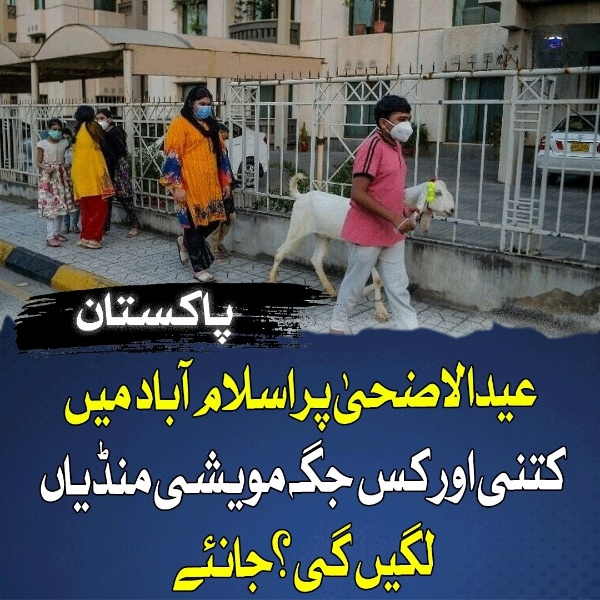 عیدالاضحیٰ پر اسلام آباد میں 6 مویشی منڈیاں لگانے کا فیصلہ