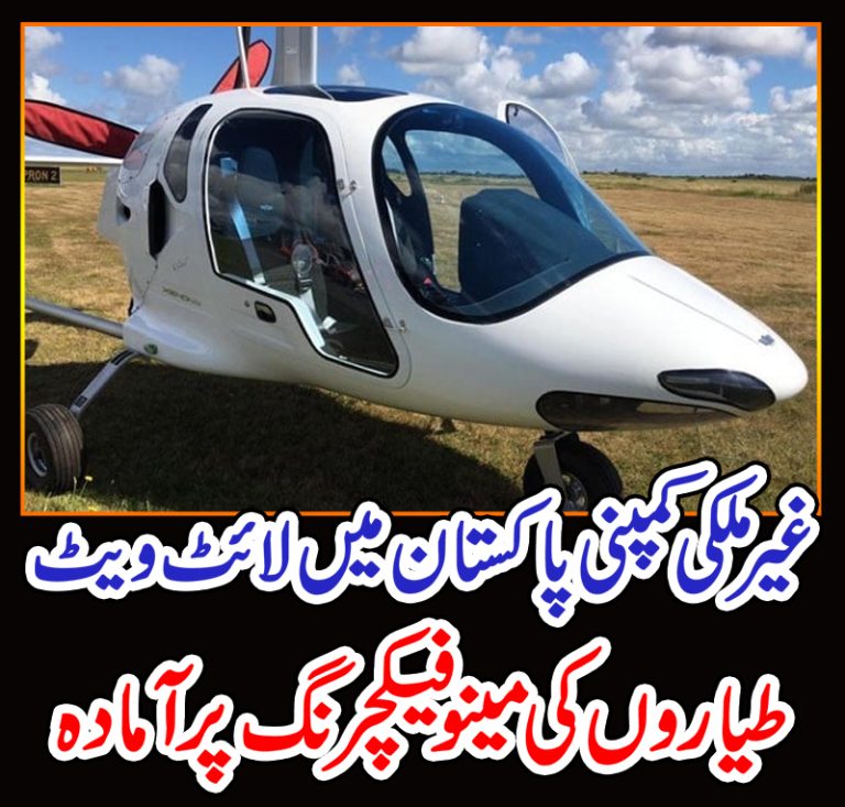 غیرملکی کمپنی پاکستان میں لائٹ ویٹ طیاروں کی مینوفیکچرنگ پر آمادہ
